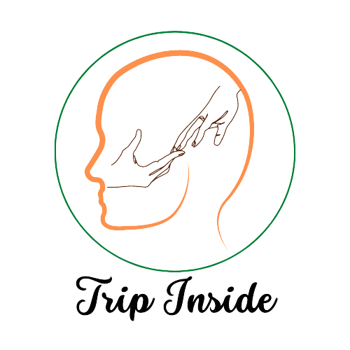 Trip Inside